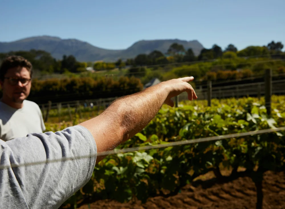 Échange terrain entre professionnels dans une approche de conseil viticole
