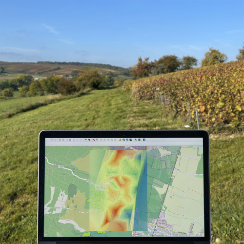 Écran présentant des cartes avec un vignoble en arrière-plan.